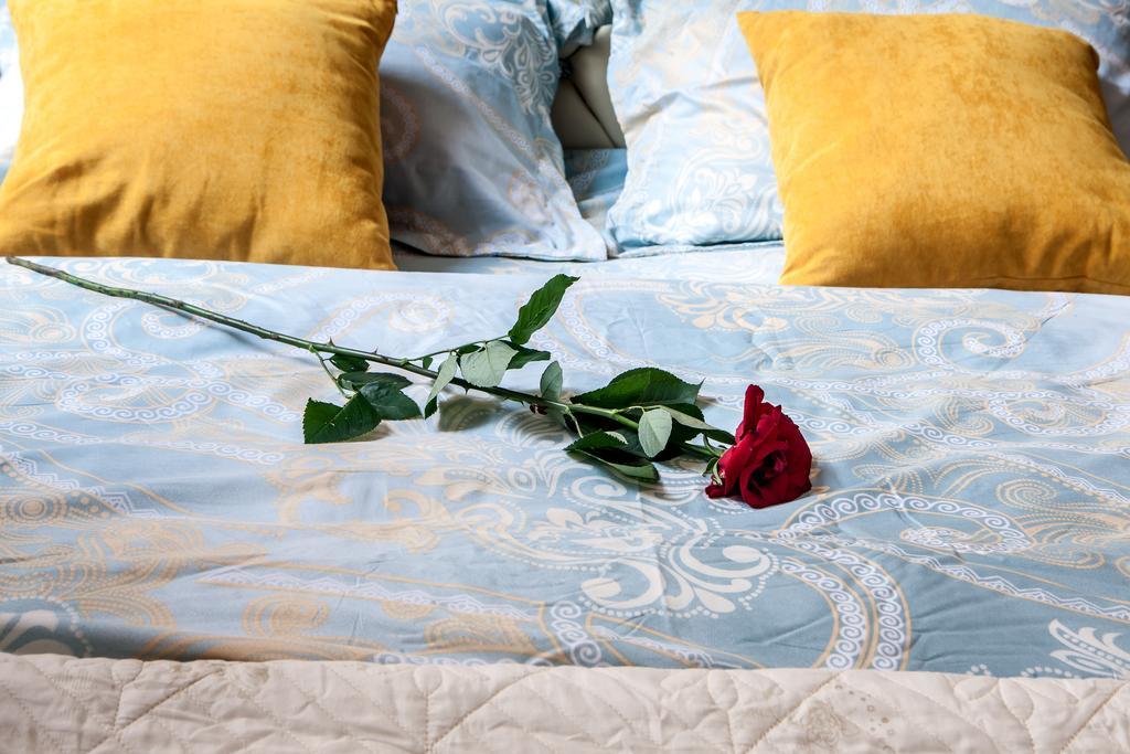 Queens Apartments Lviv Bagian luar foto